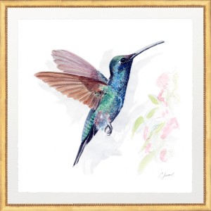 CL- HUMMINGBIRD 3